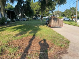 Cleanups by Henry Primus for Kaitlyn M. in Winter Haven, FL