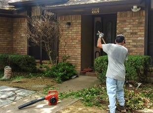 Steve C.'s Bush Trimming service result
