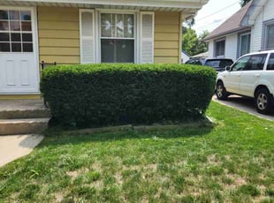 Bush Trimming by Ronnie Anderson for Jennifer S. in West Allis, WI