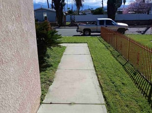 Rolla P.'s Lawn Mowing service result