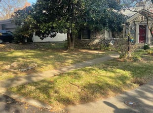 Leaf Removal by Tristan Spradlin for Sara K. in Lexington, KY