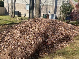 Leaf Removal by Jose Maltos for Michael O. in Cincinnati, OH