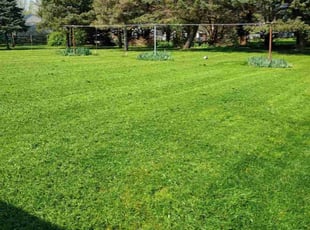 Tracey L.'s Lawn Mowing Service service result