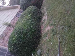Bush Trimming by Jaime Caraballo for Ashley M. in Snellville, GA