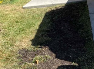 Landscaping by Hugo Lopez for Adrian M. in Temecula, CA