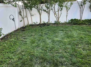 Cleanups by Ramiro Vicente for Kelly S. in Saint Charles, MO