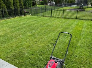 Derek M.'s Lawn Mowing Service service result