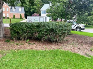 Bush Trimming by James Ziobro for Marvin M. in Cary, NC