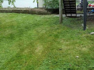 Cleanups by Shonna Wilkinson for Matt J. in Urbandale, IA