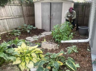 Bush Trimming by Connor Doyle for Andrew P. in Minneapolis, MN