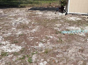 Leaf Removal by Luis Longa for Angelica C. in Orlando, FL