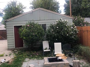 Bush Trimming by David Rordame for Caylin L. in Salt Lake City, UT