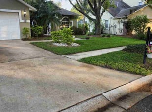 Jona S.'s Lawn Mowing service result