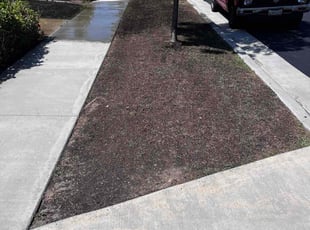 Aeration by Samuel Benavides for Jason S. in Rancho Cucamonga, CA