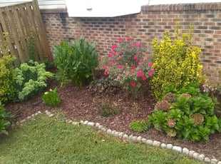 Weeding by Deandre Graves for Daryl P. in Montclair, VA
