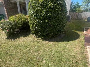 Leaf Removal by Ross Stevens for Saraswat B. in Woodstock, GA