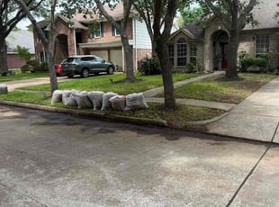 Leaf Removal by Justin Dennis for Ahmet A. in Sugar Land, TX