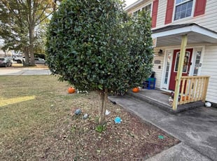 Bush Trimming by DJ Walker for Carolyn S. in Norfolk, VA