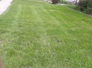 Cleanups by Domingo Cansino for Crystal A. in Milwaukee, WI