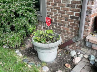 Cleanups by Antasha Malcolm for Kimmie B. in Waterford Township, MI