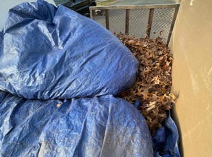 Leaf Removal by Reginald Blue for John B. in Bel Air, MD