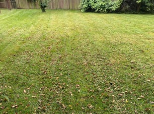 Bush Trimming by Dwayne Galloway for David j. in Columbus, OH