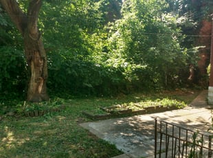 Weeding by Christopher Richardson Sr for Shonta S. in St. Louis, MO