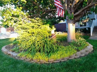 Weeding by Noah Person for Bobbie H. in Woods Cross, UT