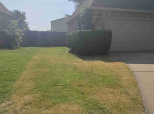 Bush Trimming by James Jackson for Erin M. in Tulsa, OK