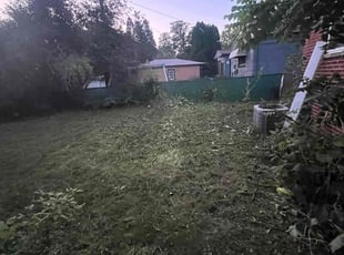 Cleanups by Michael Harris for Laurie A. in Royal Oak, MI