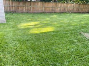 Cleanups by Neal S for Raquel B. in Centreville, VA