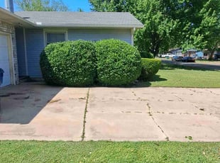 Bush Trimming by William Beacham for Jim B. in Wichita, KS