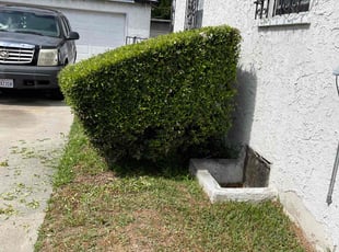 Bush Trimming by Uriel Ocampo for Madelyn J. in Compton, CA
