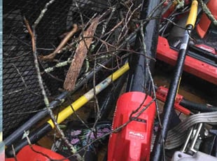 Diane S.'s Cleanups service result