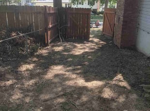 Leaf Removal by Tamica Lige for Timothy G. in Kansas City, MO