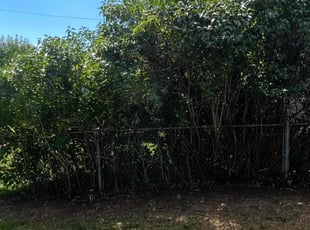 Cleanups by Jesse Nunez for Jeffrey B. in Littleton, CO