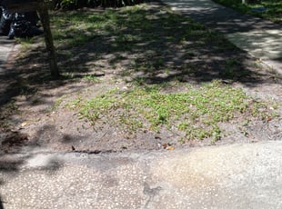Leaf Removal by Balderas lawn care LLC for Evelyn V. in Orlando, FL