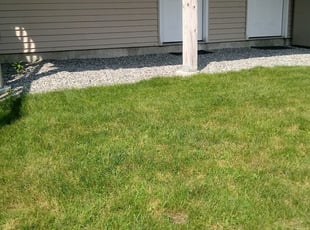 Brandon D.'s Lawn Mowing Service service result