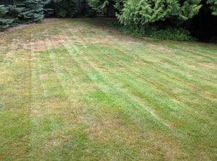 Joe B.'s Lawn Maintenance service result