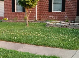 Karen B.'s Lawn Service service result