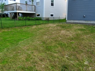 Pat B.'s Lawn Mowing Service service result
