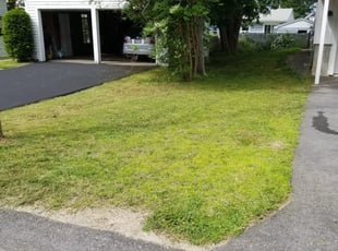 Steve B.'s Lawn Service service result