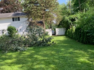 Jolie C.'s Lawn Care service result