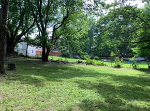 Shaylah I.'s Lawn Maintenance service result