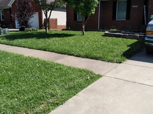 Amy W.'s Lawn Mowing service result