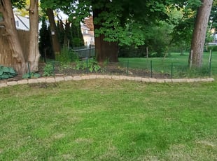 Tia H.'s Lawn Mowing service result
