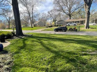 Patricia C.'s lawn maintenance service result