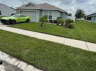 Ernest H.'s grass maintenance service result
