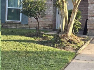 Heidi N.'s Bush Trimming service result