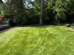Jessica P.'s Mulching service result